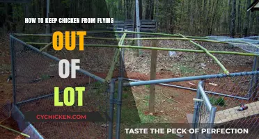 Keep Chickens Grounded: Prevent Escapes, Keep Them Safe
