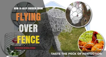 Preventing Chicken Escapes: Tips to Keep Your Flock Grounded