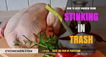 Prevent Chicken Odor: Trash Tips for Fresh, Smell-Free Disposal