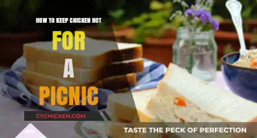 Picnic-Perfect Chicken: Tips to Keep It Hot and Delicious