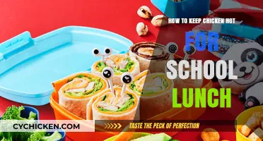 Easy Tips to Keep Chicken Hot for School Lunch
