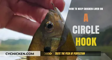 Keep Chicken Liver on a Circle Hook: Pro Tips