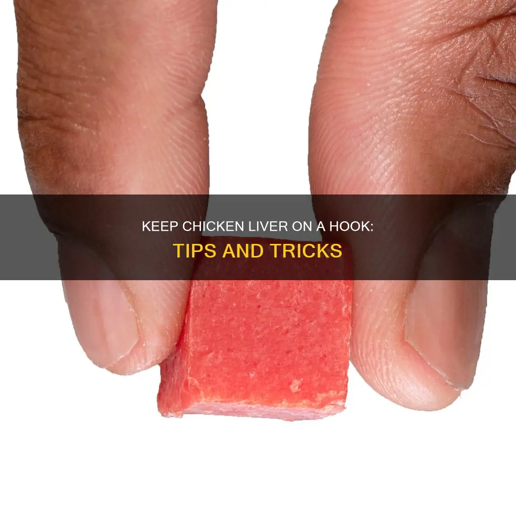 how to keep chicken liver on a fish hook