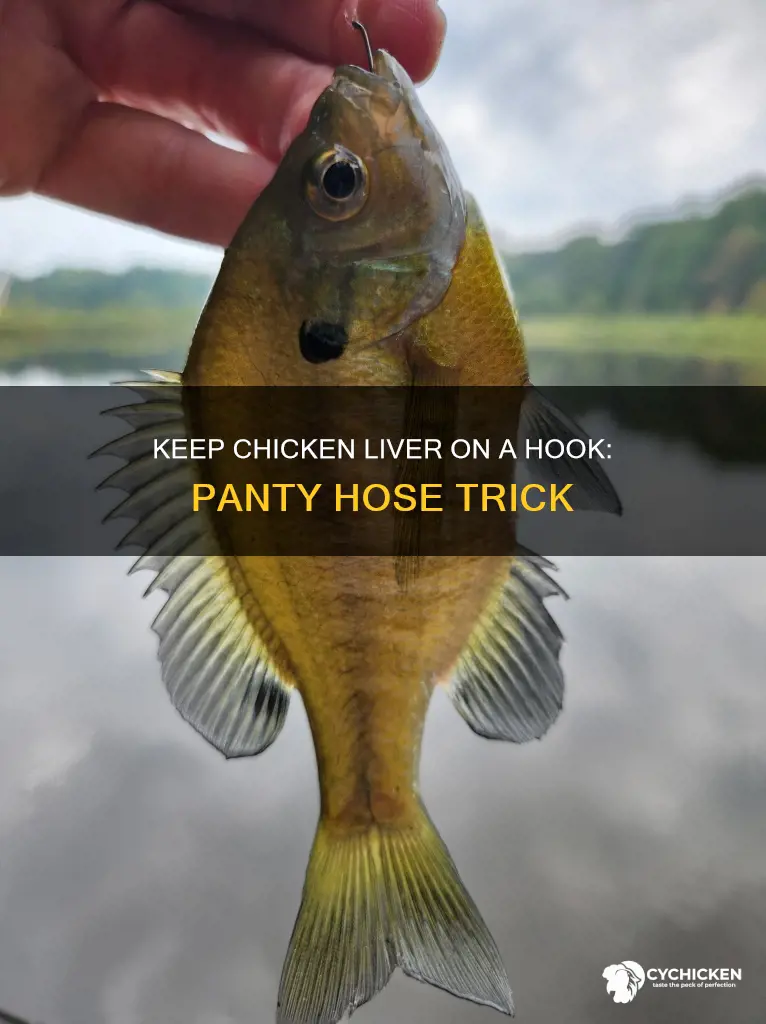 how to keep chicken liver on a hook panty hose