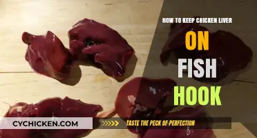 Effective Techniques for Keeping Chicken Liver Secure on Your Fish Hook