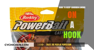 Mastering the Art of Hooking Chicken Livers for Effective Bait Fishing