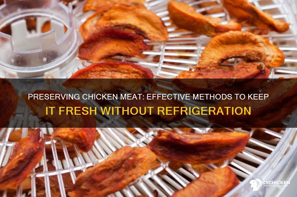 how to keep chicken meat fresh without fridge