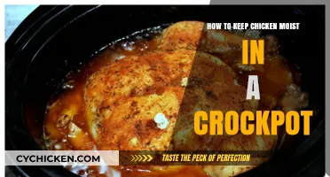 Mastering Moist Chicken: Crockpot Tips for Perfectly Tender Results