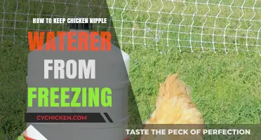 Preventing Chicken Nipple Waterers from Freezing in Winter: Practical Tips