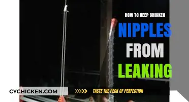 Prevent Leaks: Effective Tips for Maintaining Chicken Nipple Waterers