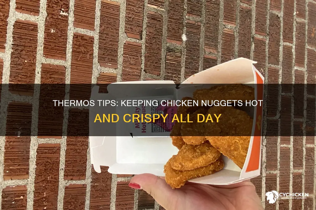 how to keep chicken nuggets hot in a thermos