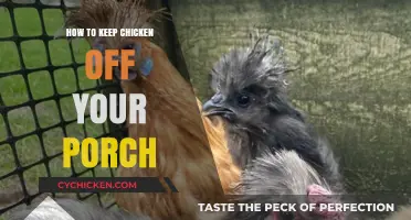 Effective Strategies to Keep Chickens Off Your Porch Area