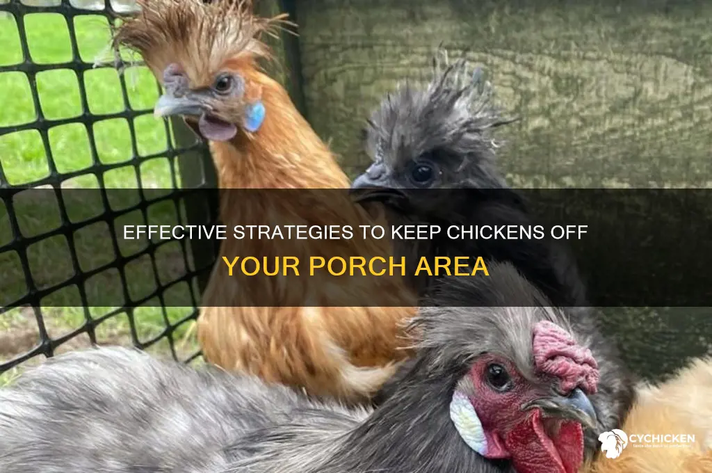how to keep chicken off your porch