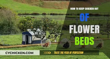 Protect Your Blooms: Effective Ways to Keep Chickens Out of Flower Beds