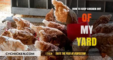 Effective Strategies to Keep Chickens Out of Your Yard Easily