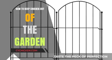 Effective Strategies to Protect Your Garden from Chickens