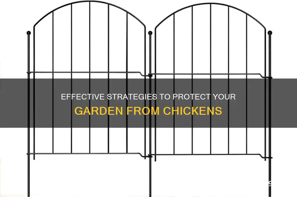 how to keep chicken out of the garden