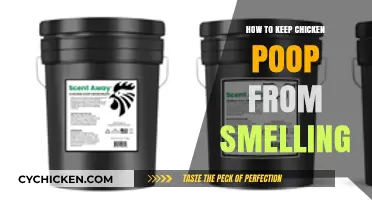 Effective Tips to Eliminate Chicken Poop Odor in Your Coop