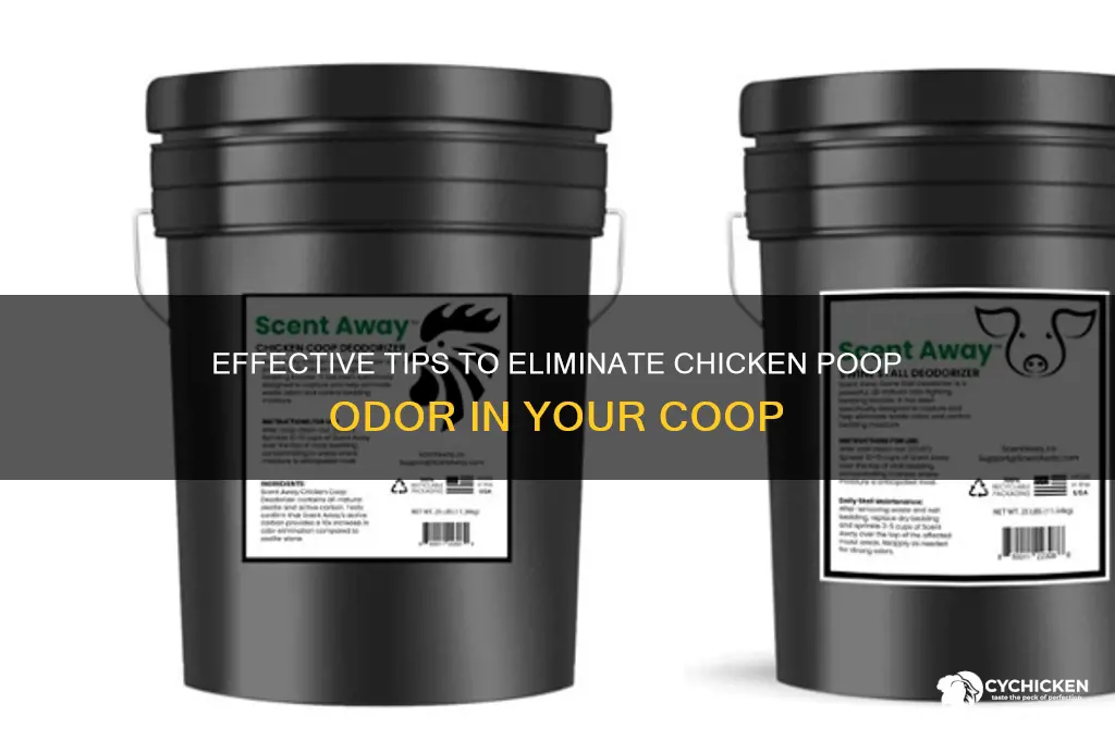 how to keep chicken poop from smelling