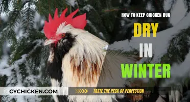Winter-Proof Your Chicken Run: Tips for a Dry and Cozy Coop