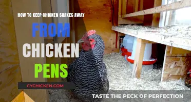 Protecting Chicken Pens: Keeping Chicken Snakes Away