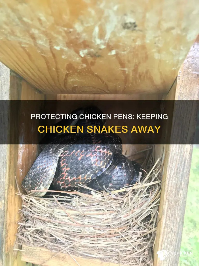 how to keep chicken snakes away from chicken pens