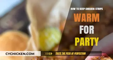 Easy Tips to Keep Chicken Strips Warm for Your Party