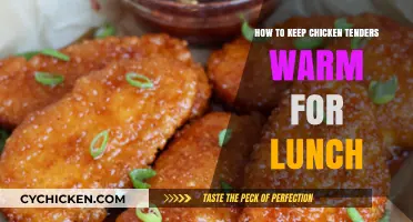 Easy Tips to Keep Chicken Tenders Warm for Lunch