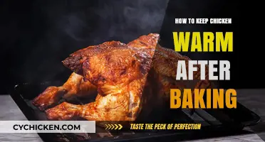 Keeping Your Baked Chicken Warm: Simple Tips for Perfectly Cozy Meals