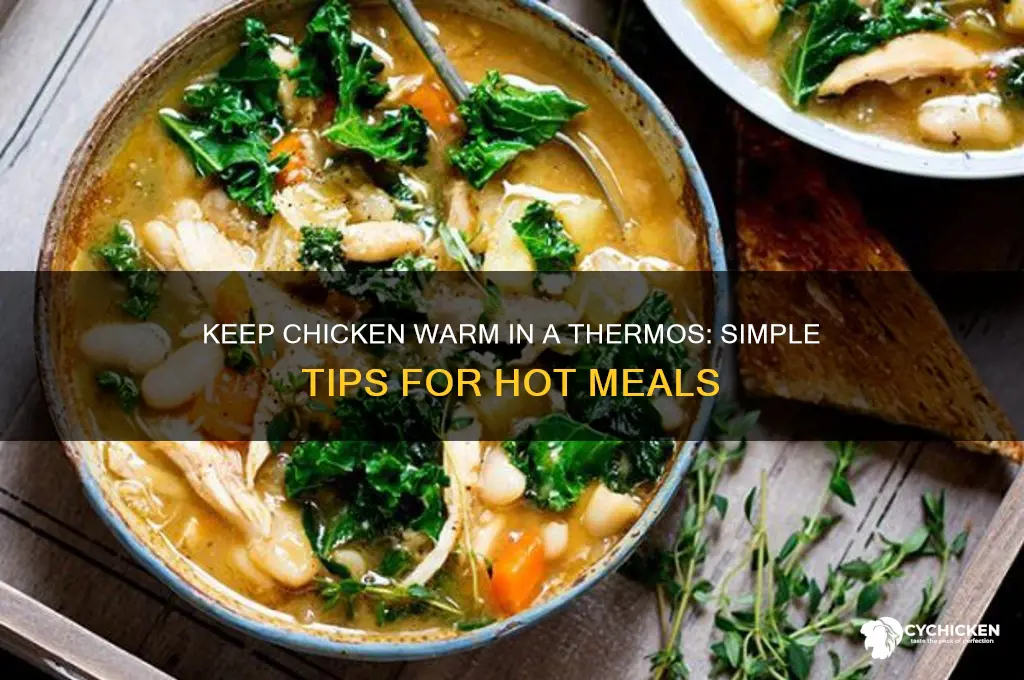 how to keep chicken warm in a thermos