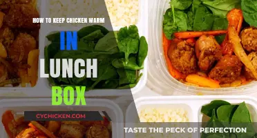 Easy Tips to Keep Chicken Warm in Your Lunch Box