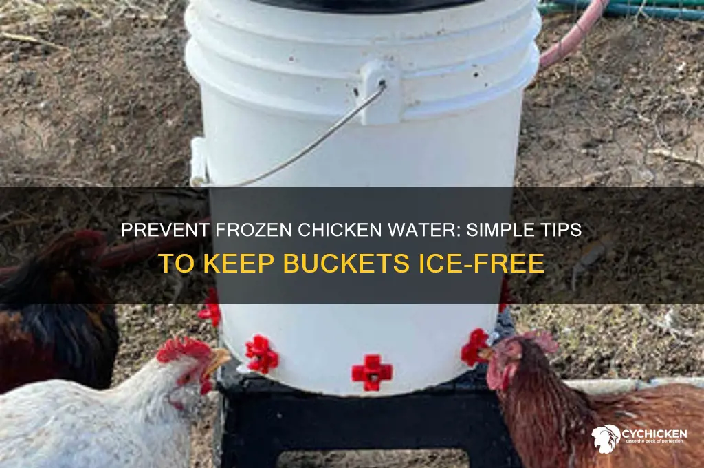 how to keep chicken water bucket from freezing