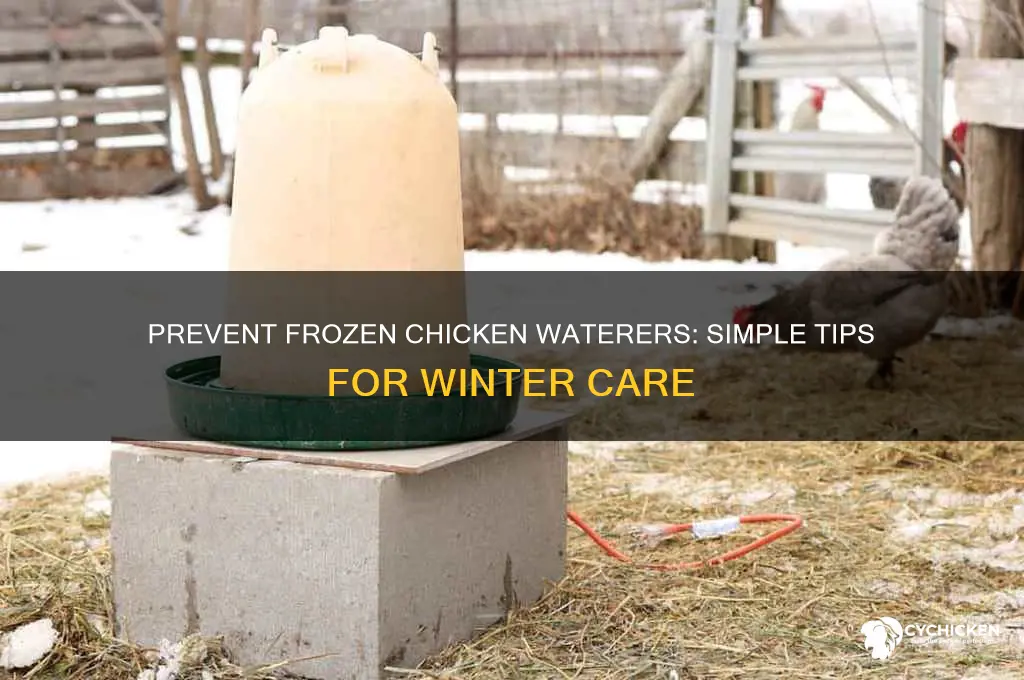 how to keep chicken water cups from freezing