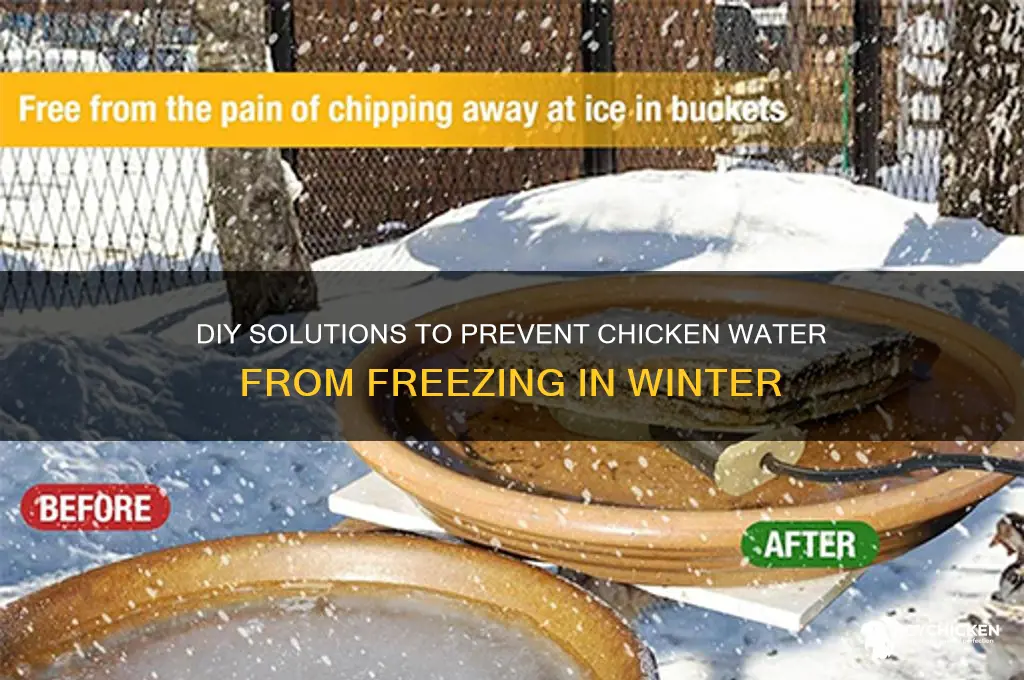 how to keep chicken water from freezing diy
