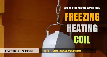 Keep Chicken Water Ice-Free: Heating Coil Method