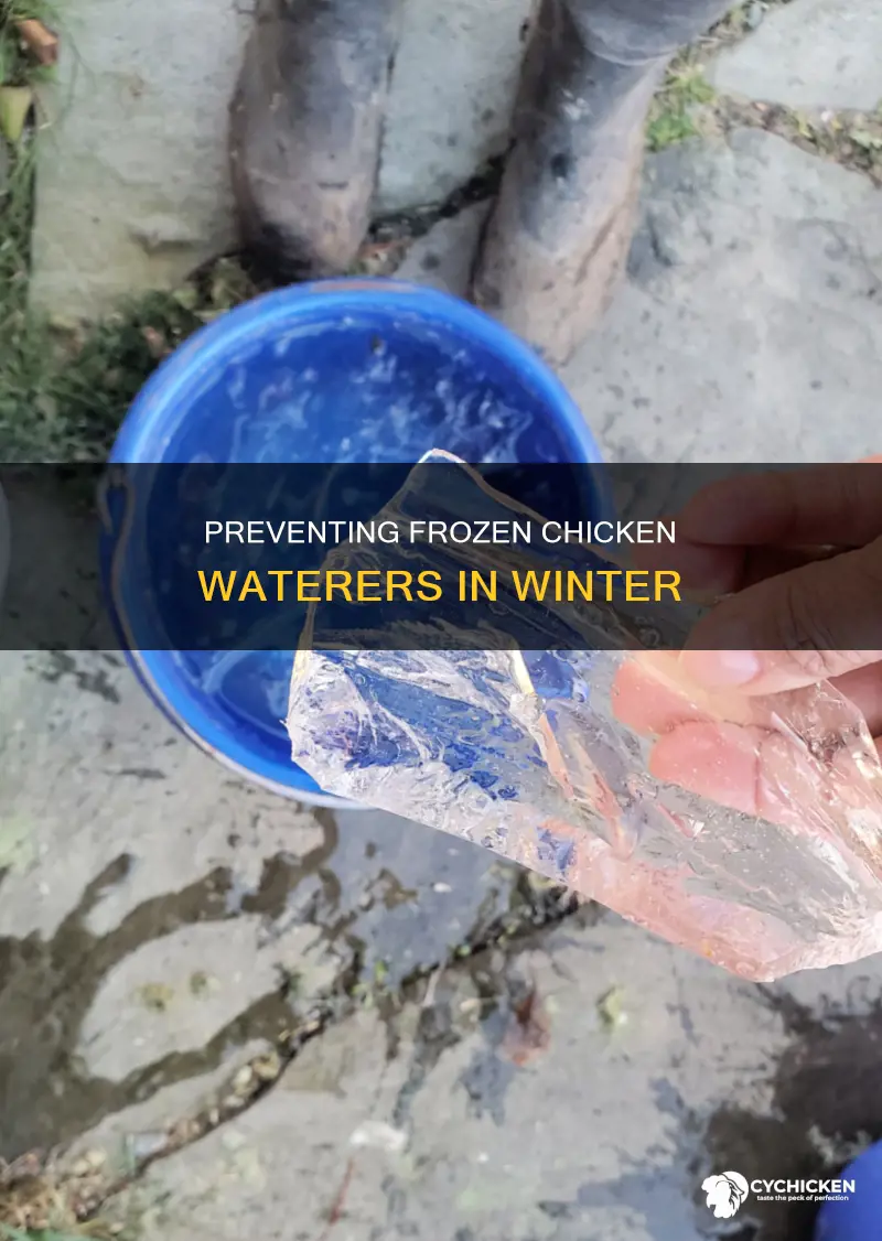 how to keep chicken water from freezing in winter