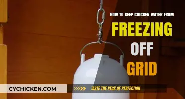 Keep Chicken Water Ice-Free: Off-Grid Solutions