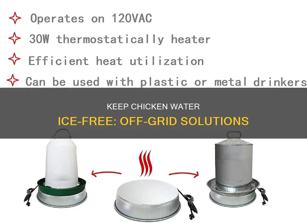 how to keep chicken water from freezing off grid