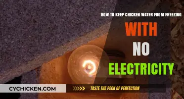 Preventing Frozen Chicken Water Without Electricity