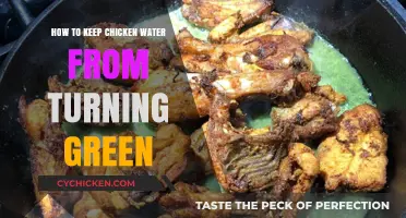 Prevent Green Chicken Water: Simple Tips for Clean Hydration
