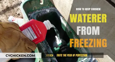 Prevent Frozen Chicken Waterers: Simple Winter Care Tips for Poultry