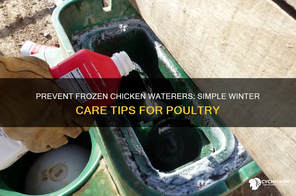how to keep chicken waterer from freezing