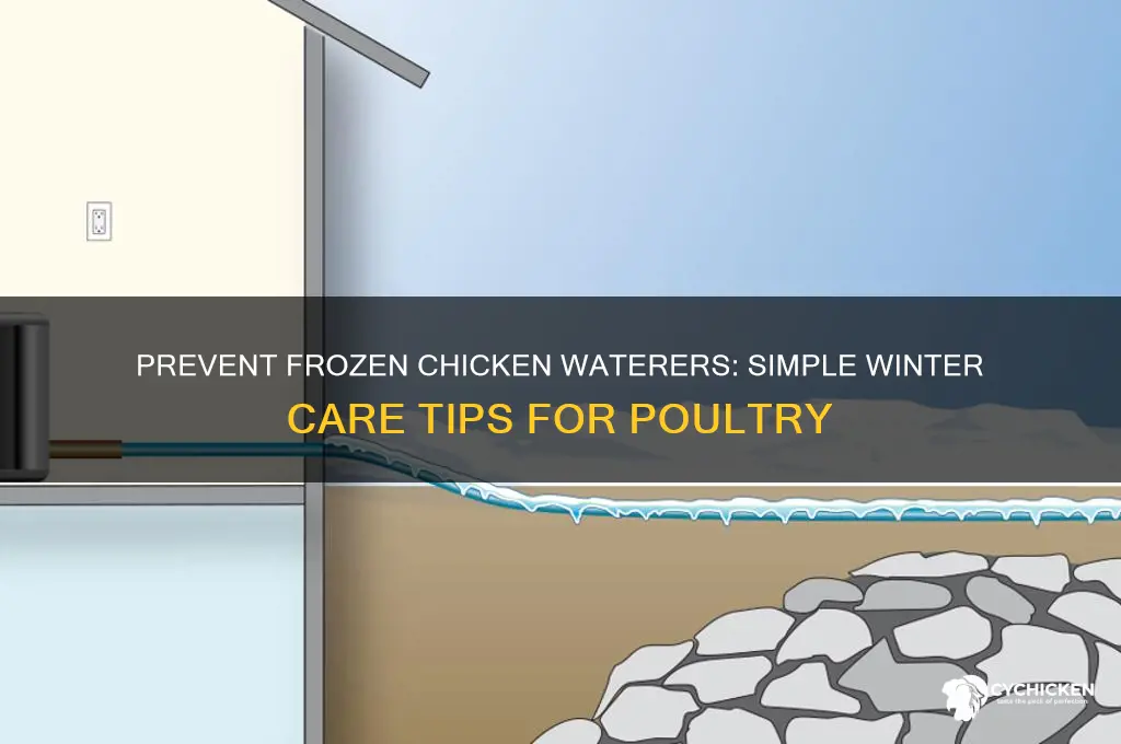 how to keep chicken waterers from freezing