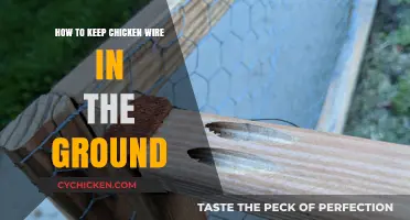 Effective Tips for Securing Chicken Wire in the Ground