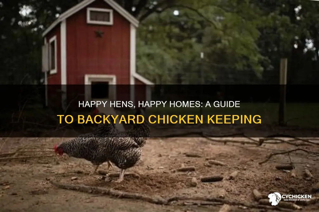 how to keep chickens in your yard