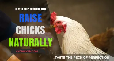 Natural Chick Rearing: Tips for Raising Happy, Healthy Chickens and Chicks
