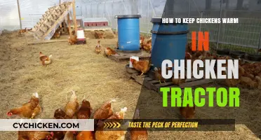 Cozy Chicken Tractors: Tips to Keep Your Flock Warm and Happy