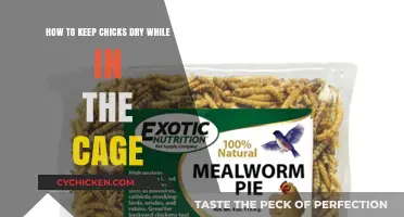 Keeping Chicks Dry: Cage Management Tips