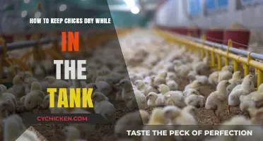 Keep Chicks Dry: Tank Tips for Beginners