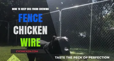 Prevent Your Dog From Chewing Fence Chicken Wire